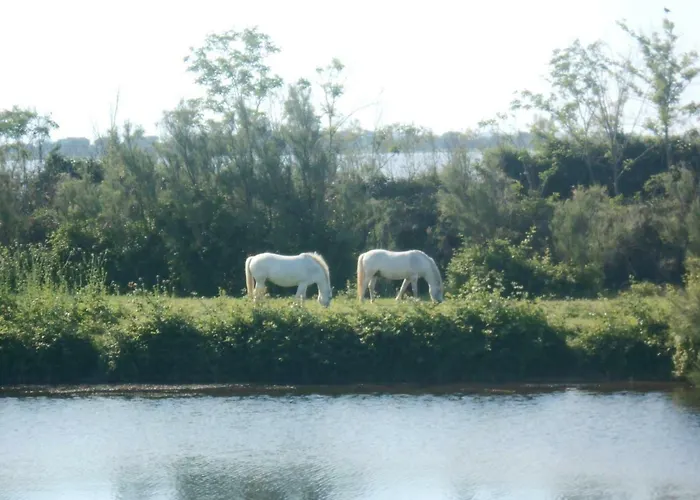 Fewo-am-adriastrand Via 19 *