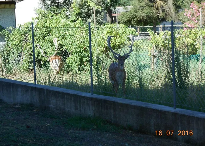 Fewo-am-adriastrand Via 19 ليدو دي فولانو