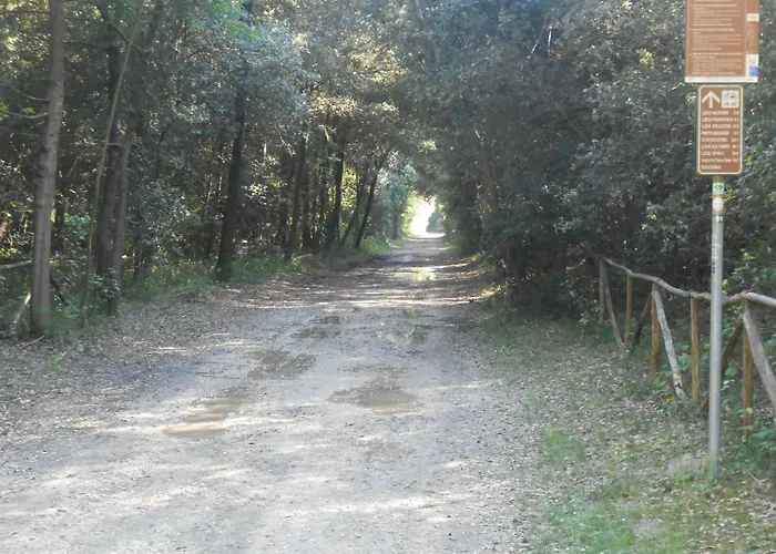 Villa Mit Ladestation Fuer Elektrofahrzeuge In Via Spiaggia 19 Lido Di Volano 別荘 *